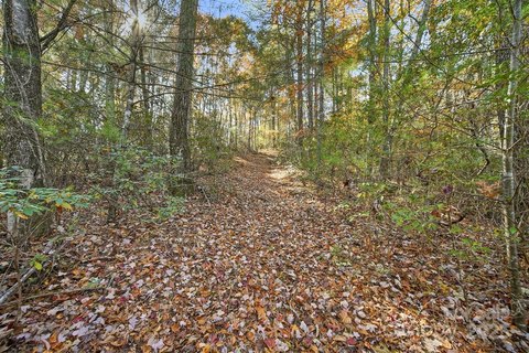 Unrestricted Mountain Land in Lenoir