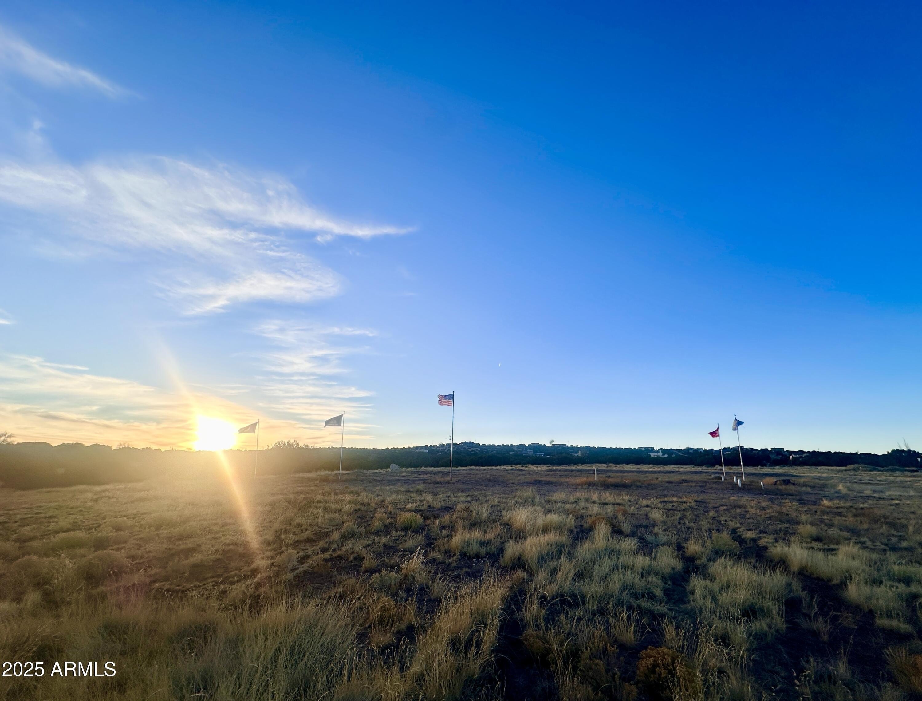 Commercial Land in Concho, Arizona