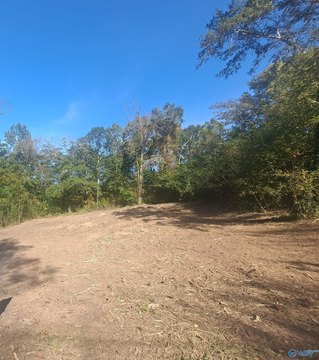 Land Lot in Guntersville, AL