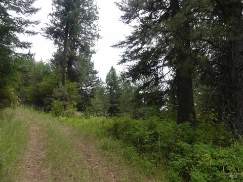 Lenore, ID Wooded Building Lot
