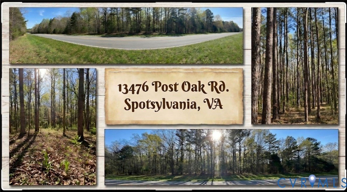 Spotsylvania Wooded Land Parcel