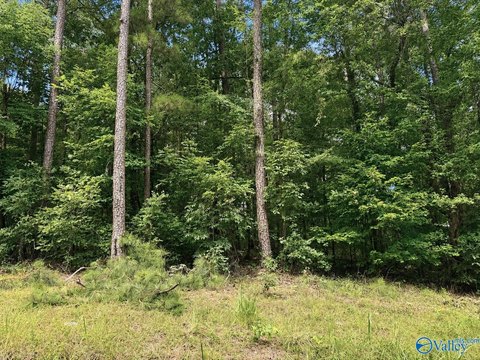 LAND - Cedar Bluff, AL