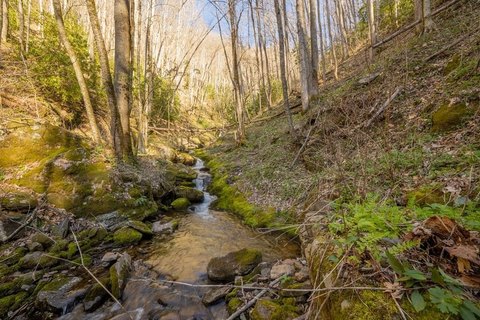 Sylva Land with Waterfall