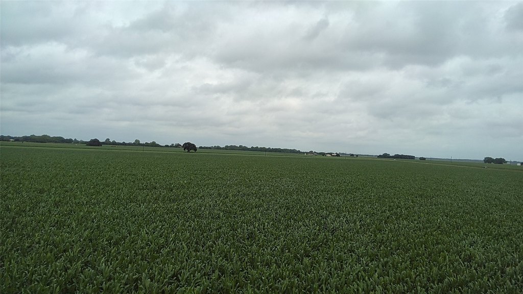 Picture 16