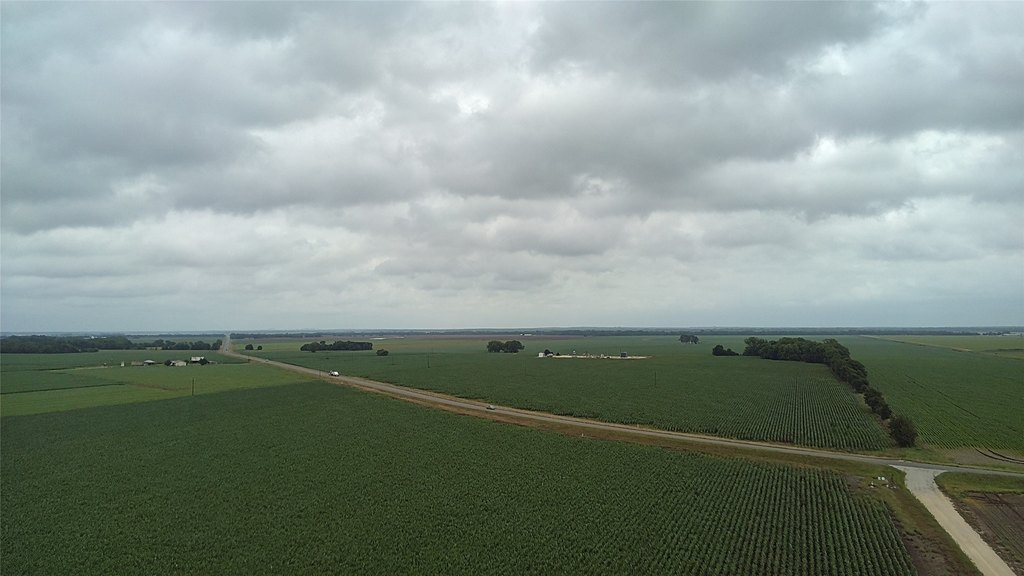 Picture 20