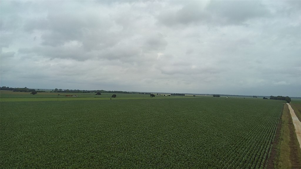 Picture 13