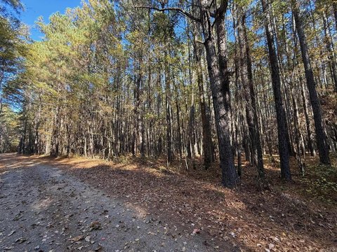 Sheridan, AR Land For Sale
