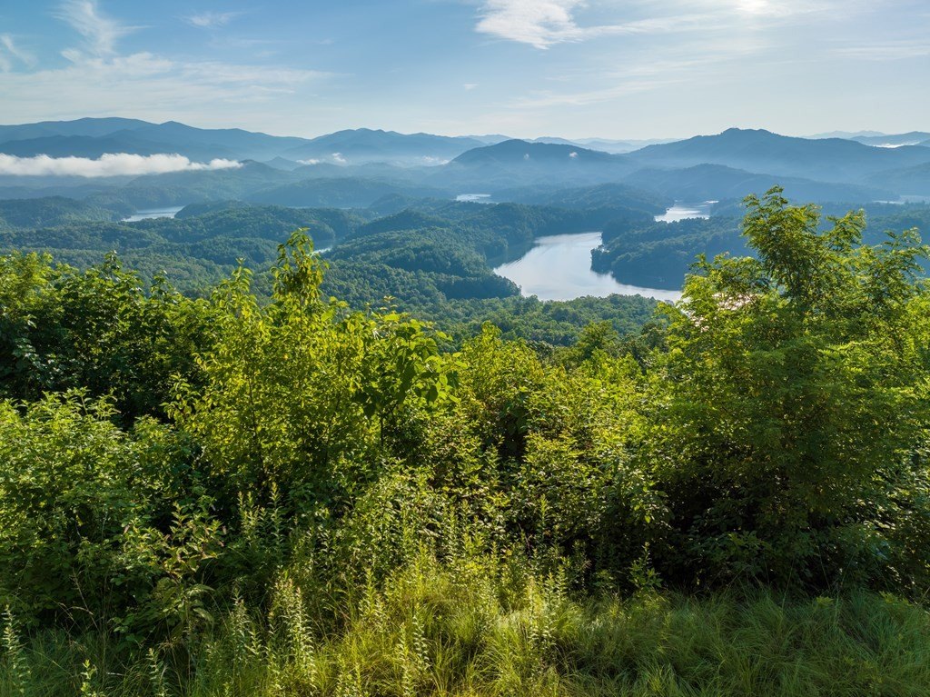 Picture 31
