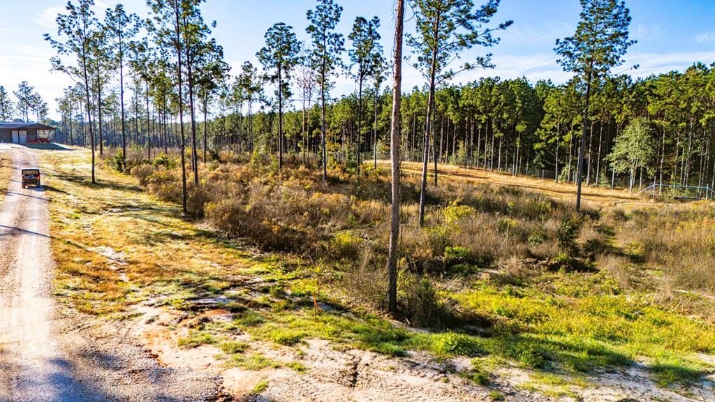 5.42 Acre Homesite in Moscow, TX