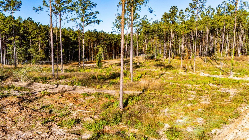 Picture 6