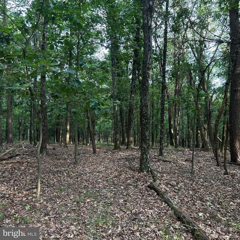 Picture 37