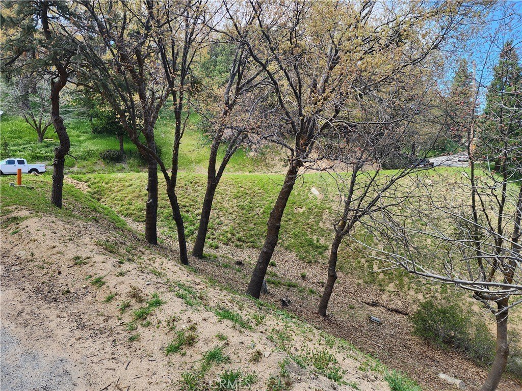 Picture 16