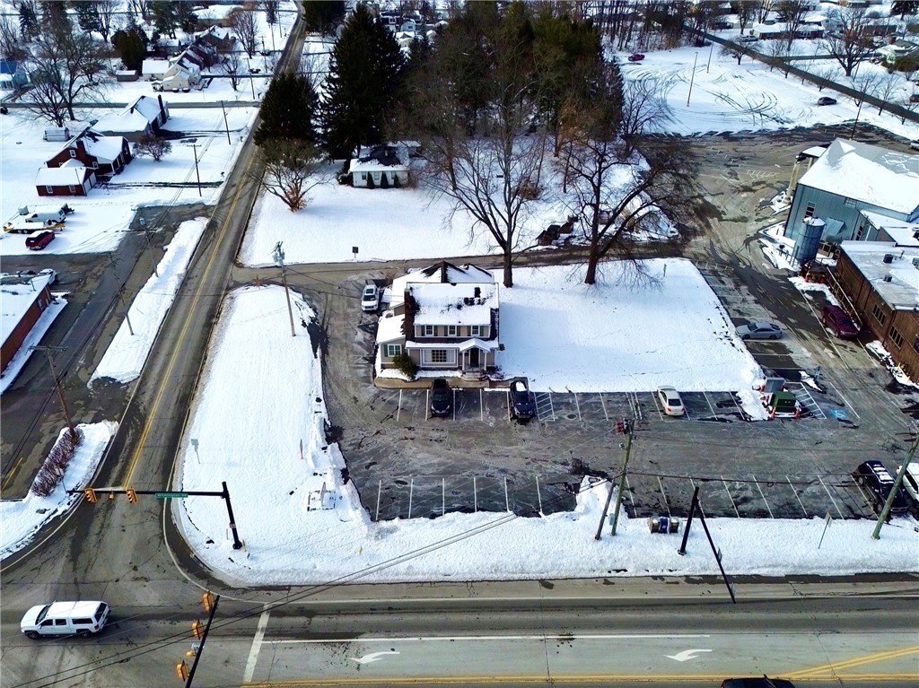 Picture 8