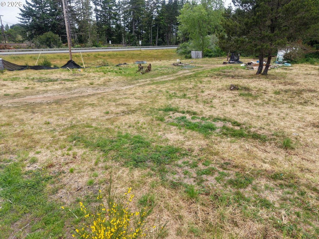 Picture 11