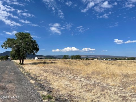 13.42 Acres in Springerville, AZ