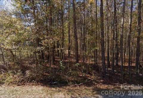 LAND - Weddington, NC