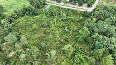 Mena, Arkansas 10-Acre Land