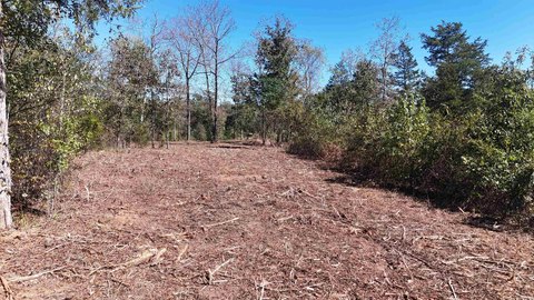 Rural Recreational Land Tract