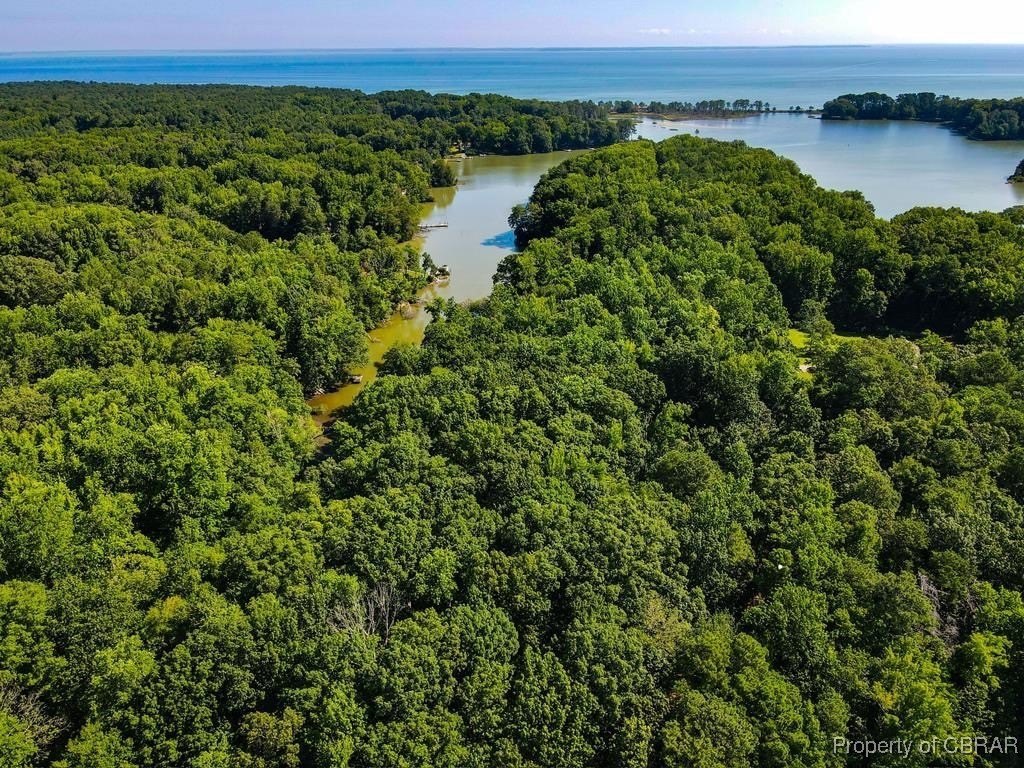 Wooded Lot Near Potomac River