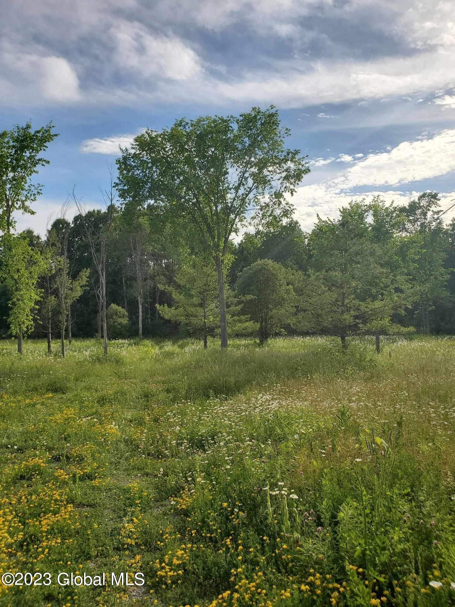 Corner Lot with Drilled Well