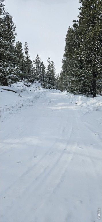 Picture 33