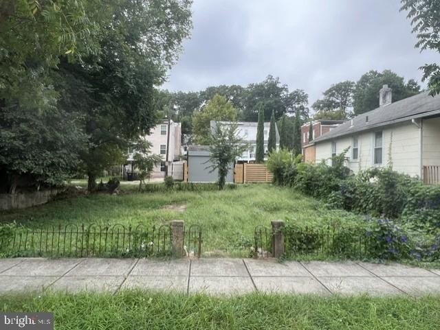 Picture 3