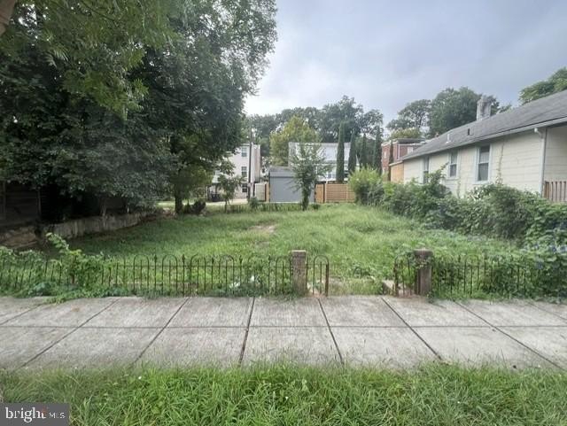 Picture 6