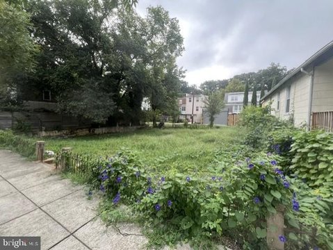 Land, WASHINGTON, DC