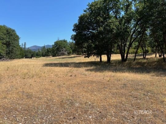 Hayfork Land with Creek Proximity