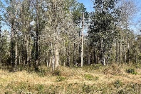 LAND - Lacombe, LA