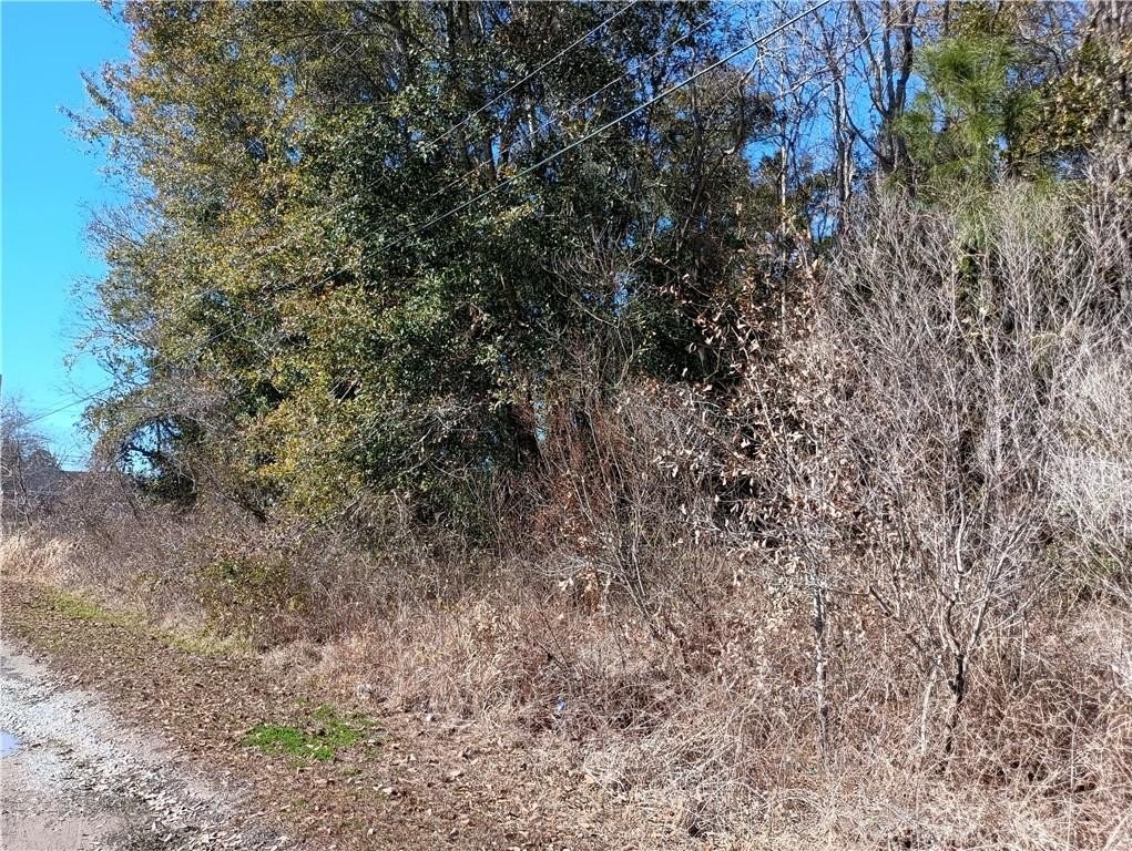 Picture 3