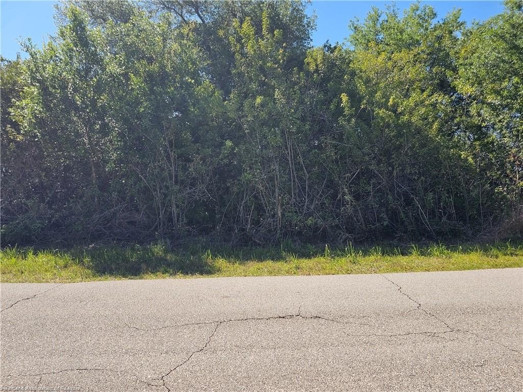 Residential Land in Lake Placid