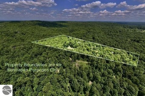 Hunting Land with Wooded Seclusion