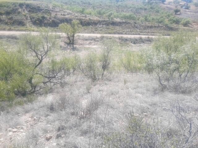 Picture 18