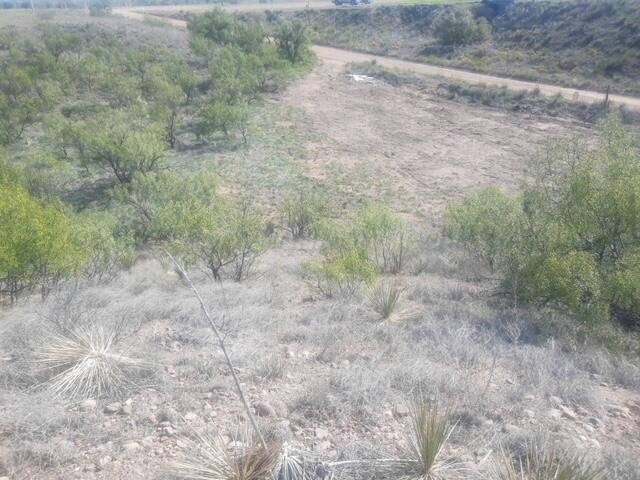 Picture 16