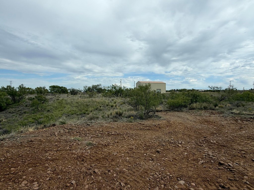 Picture 9
