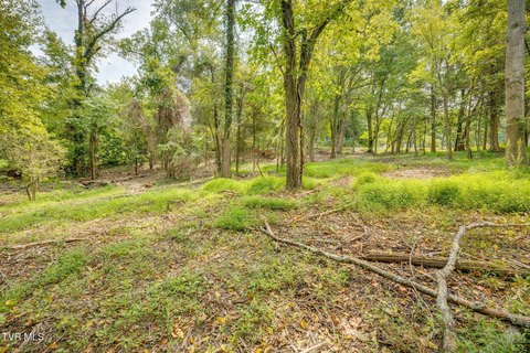 Land, Kingsport, TN