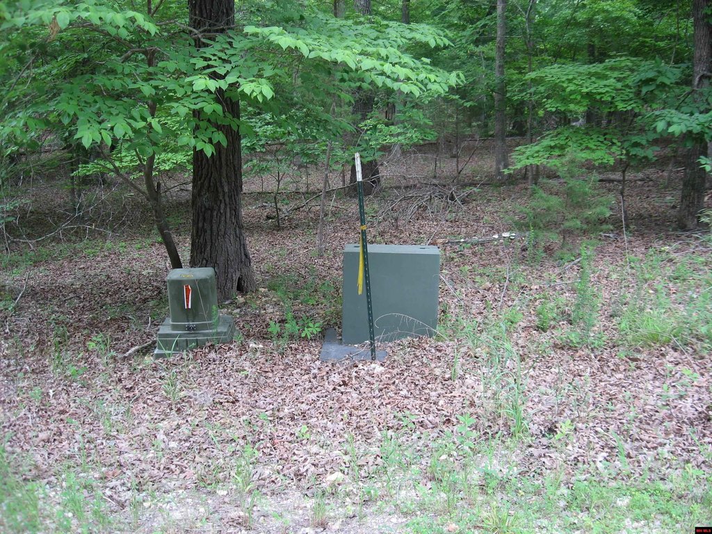 Picture 9
