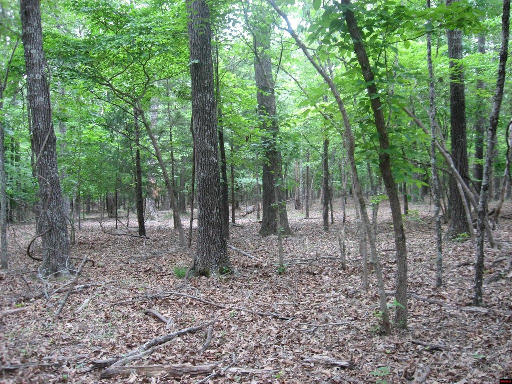 Picture 7