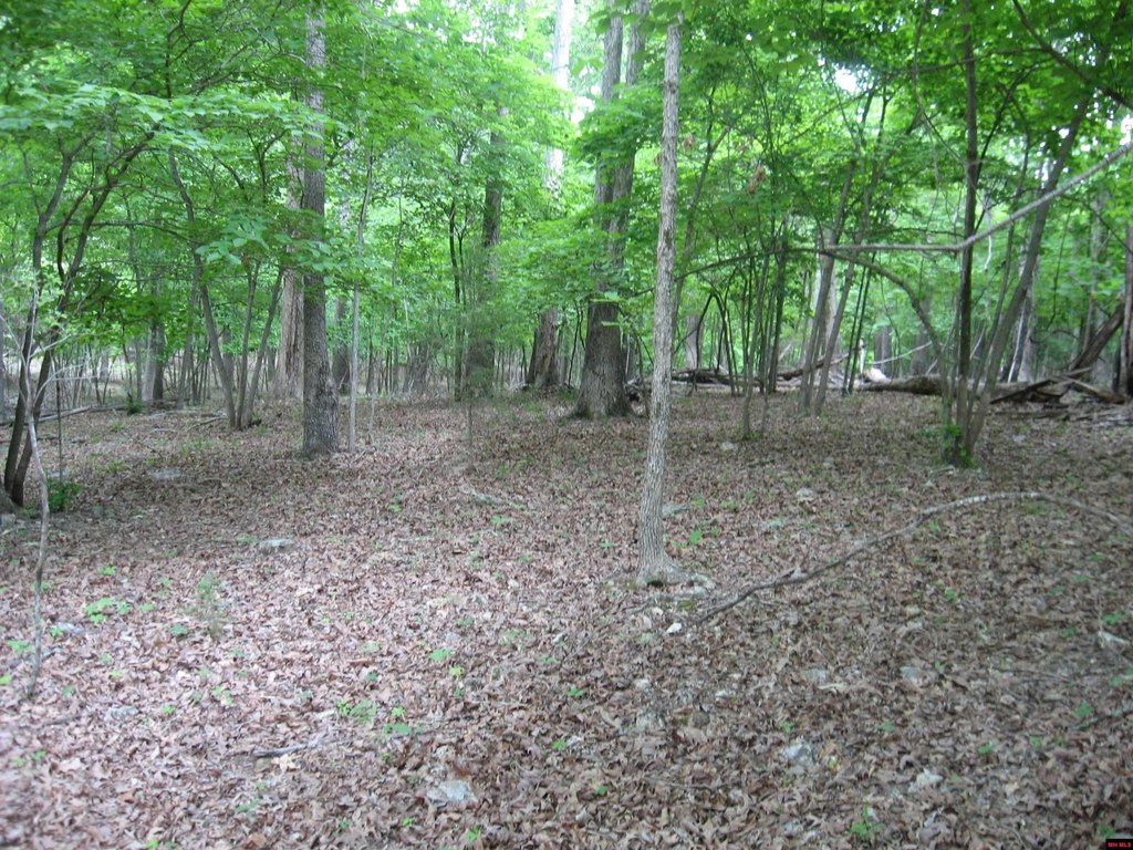 Picture 10