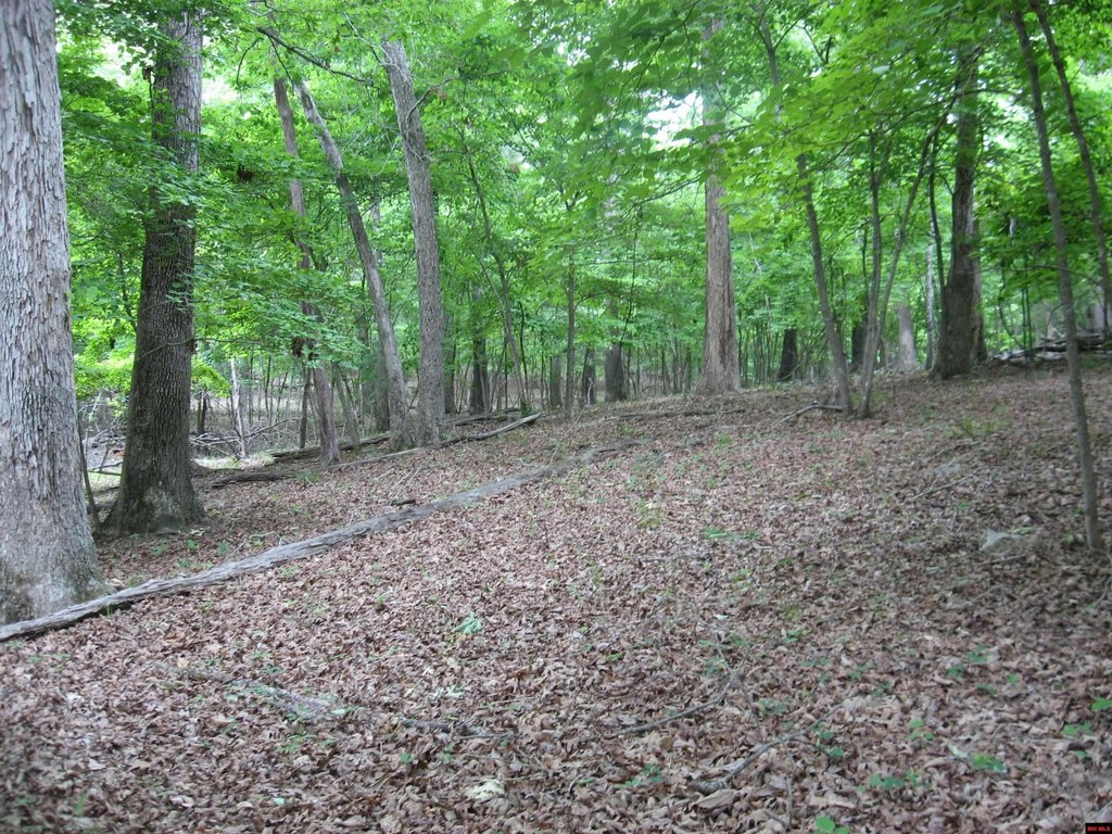 Picture 11
