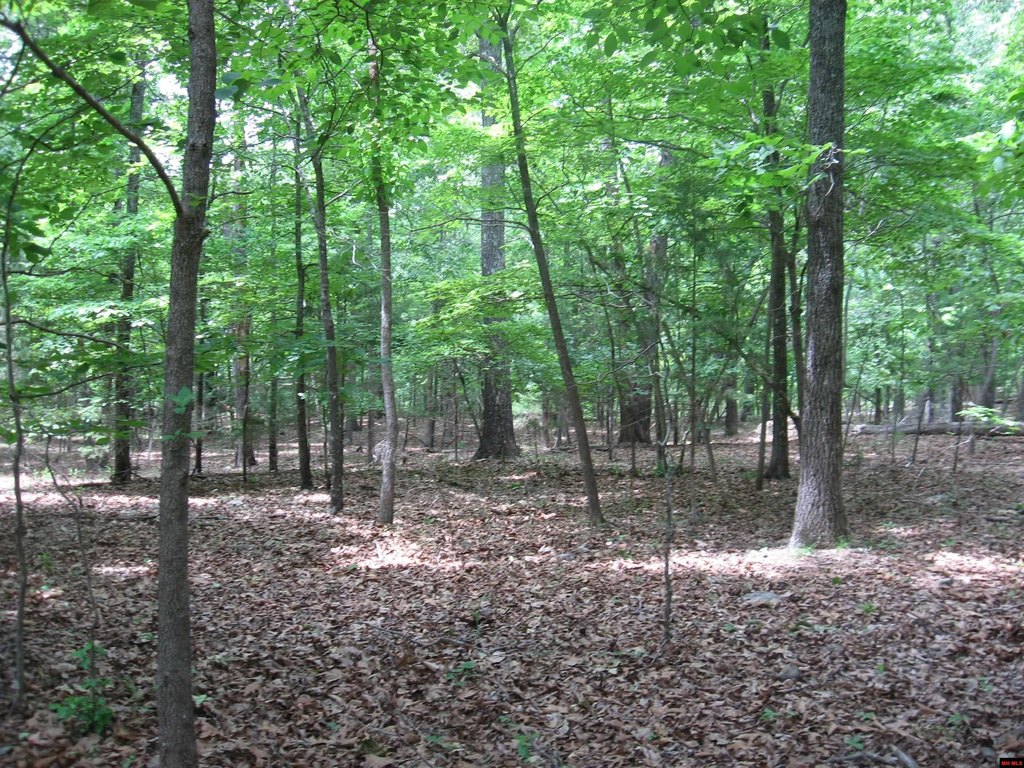 Picture 2