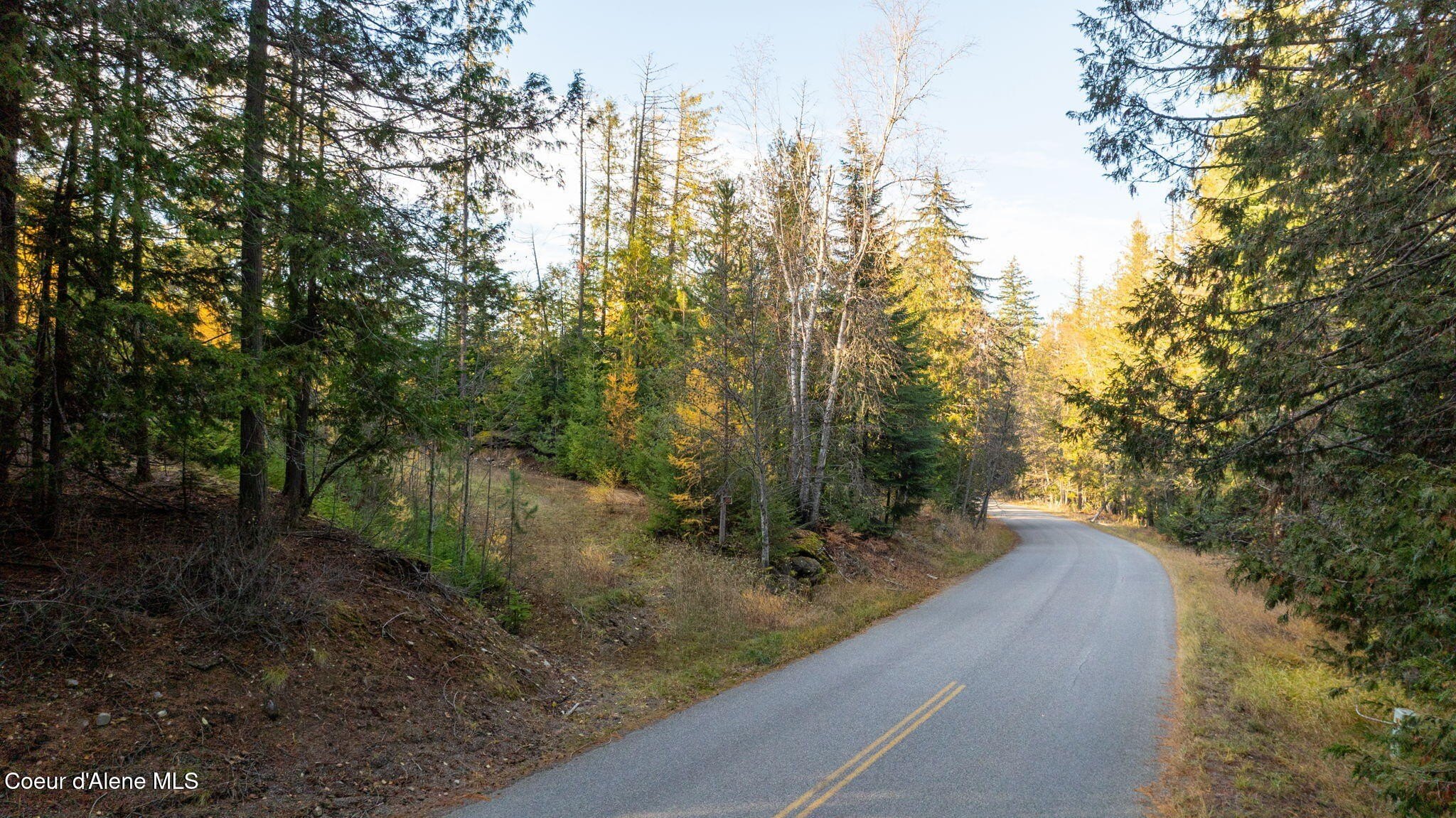 Sagle Land with Mature Trees