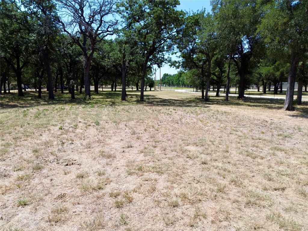 Picture 19