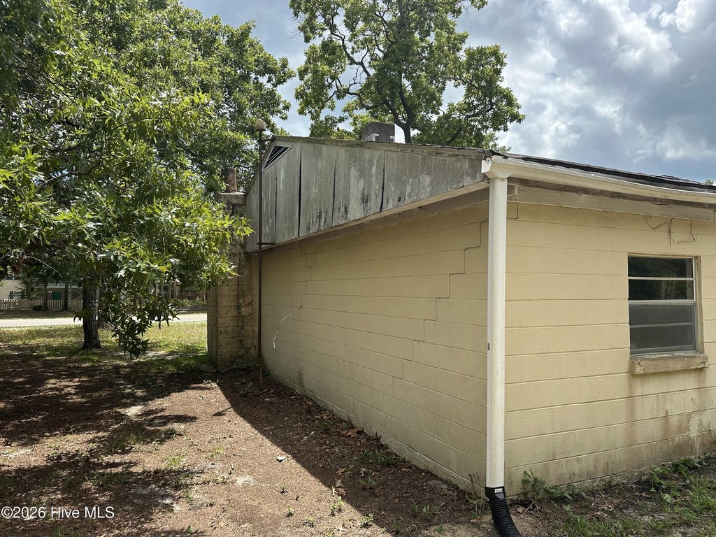Picture 6