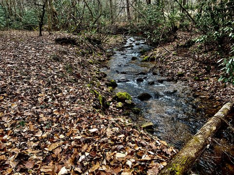 Unrestricted Land Bordering National Forest