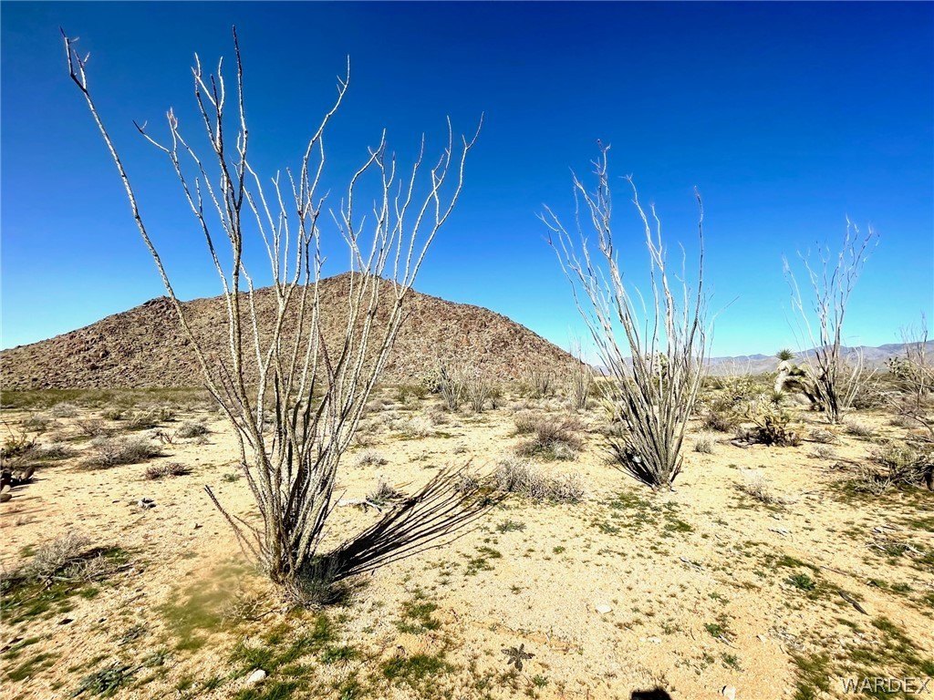 Picture 29