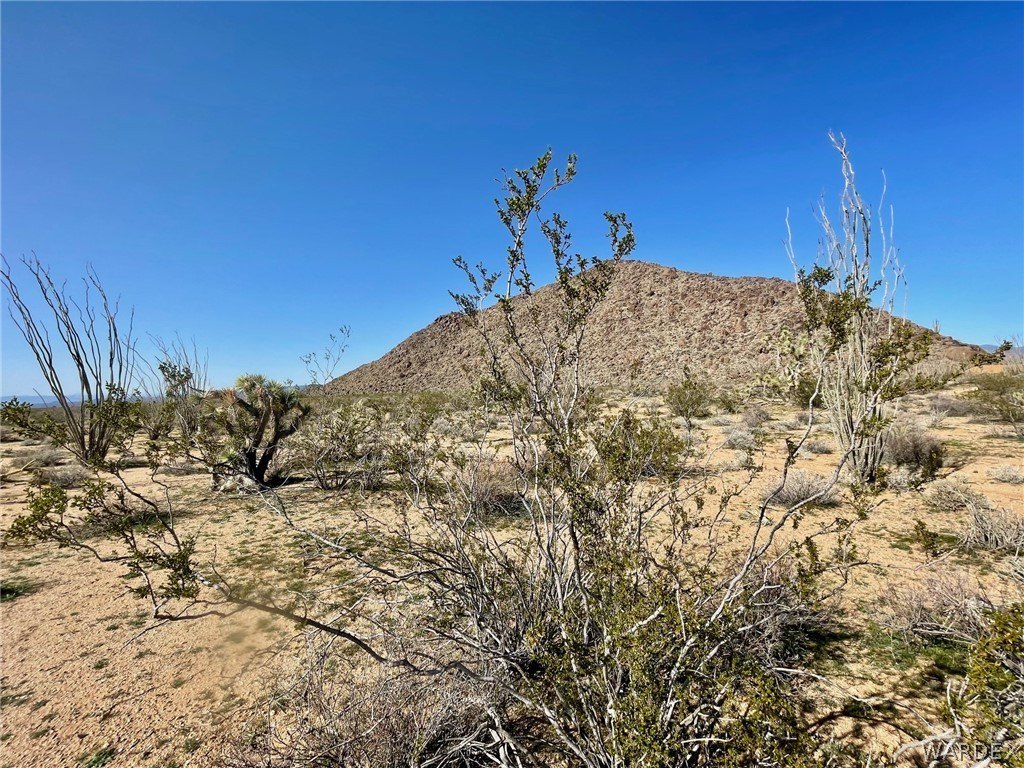 Picture 25