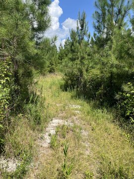 Kershaw Land for Country Lifestyle