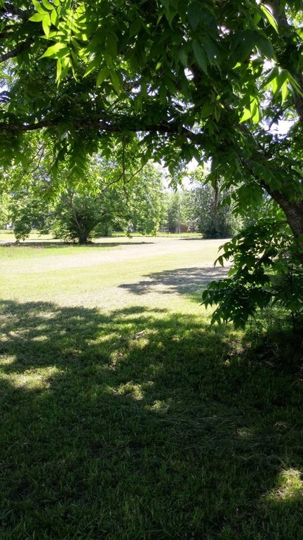 Picture 13